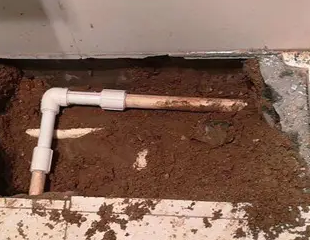 科尔沁左翼后测漏水哪家好