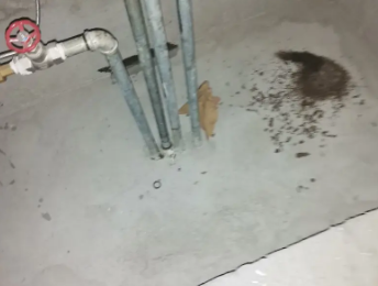 科尔沁左翼后卫生间测漏水价格明细