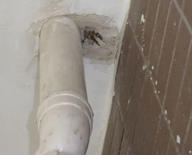 科尔沁左翼后漏水检测哪家好